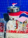 Mini Multi Cooker